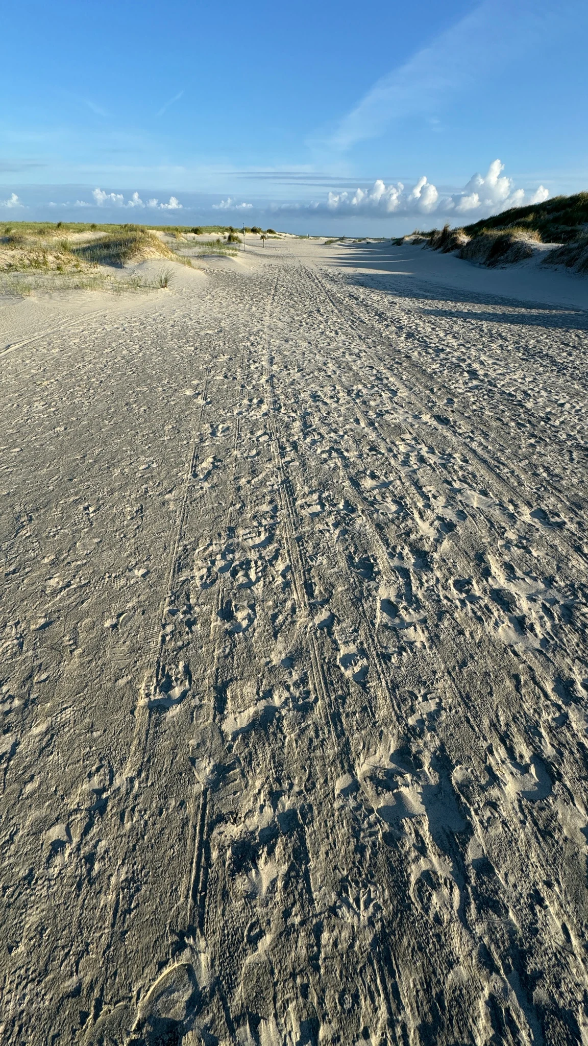 Weg durch die Dünen