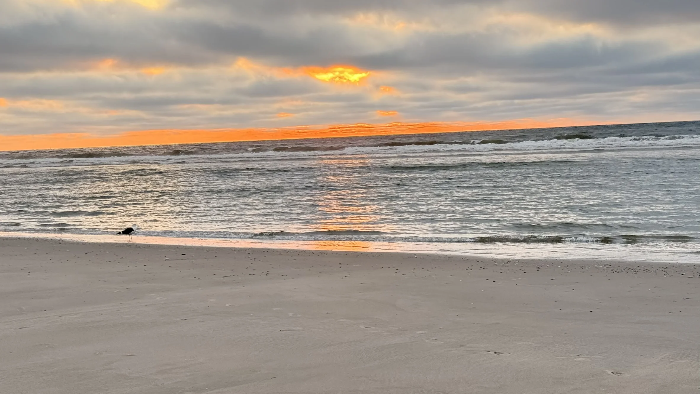Orangefarbenes Morgenrot über dem Meer mit Möwe